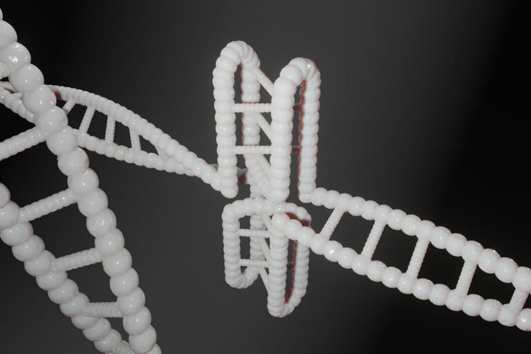 In today’s era of precision medicine and personalized wellness, understanding your genetic blueprint can be the key to optimizing your health, fitness, and lifestyle choices. CircleDNA has emerged as one of the most advanced consumer DNA testing platforms, offering over 500 comprehensive reports that go beyond ancestry to reveal detailed insights into your health risks, nutritional needs, fitness potential, and more.