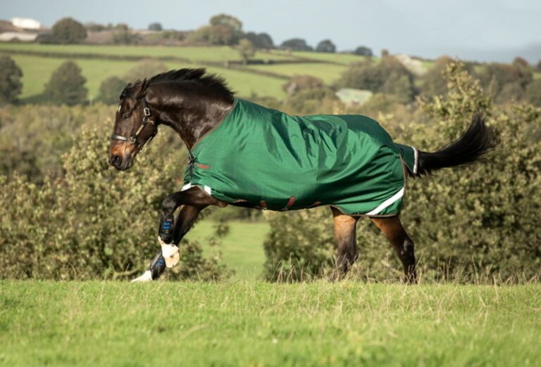 Horseware Ireland Show Ready Rug: Comfort and Elegance for Your Horse