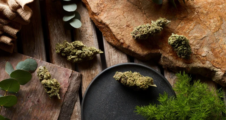 Rediscover Calm and Clarity with HempHash’s Premium CBD Hash Collection