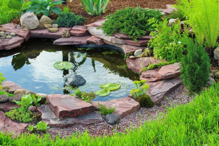 Garden Sanctuary – Create Your Outdoor Escape