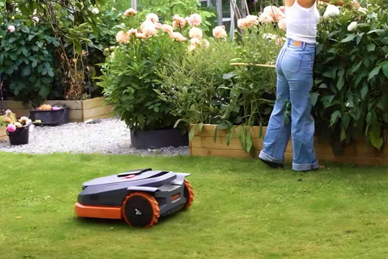 Der Traum vom perfekten Garten: Navimow macht es real, während du dein Leben lebst