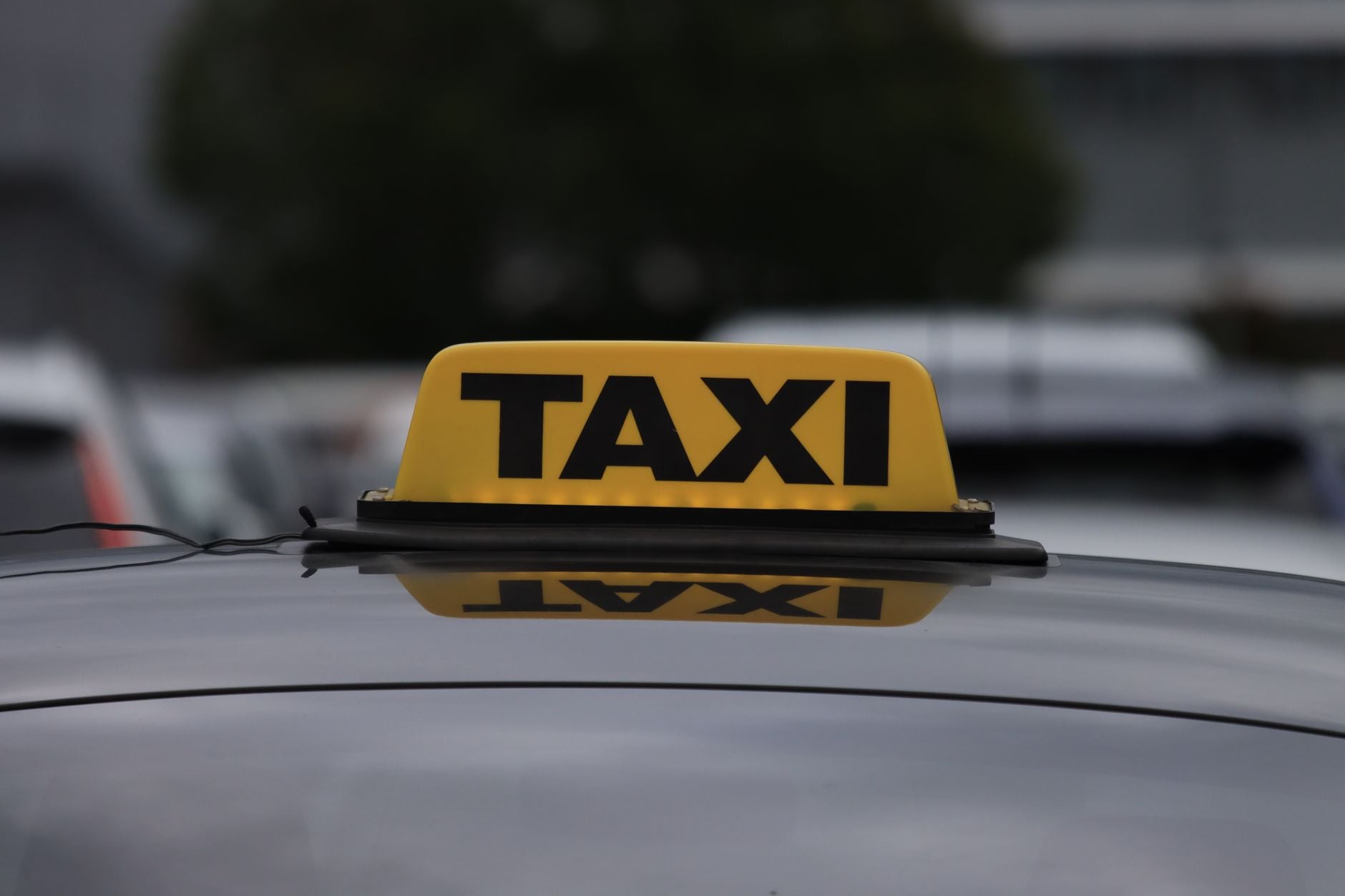 Professional Taxi Services