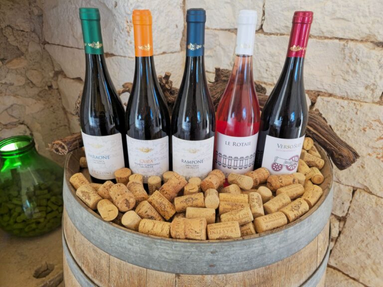 CantinetteDaVino.it: Degustazione di Qualità Senza Compromessi per gli Amanti del Vino Consapevole