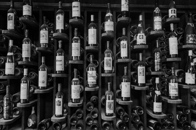 CantinetteDaVino.it: Dove Passione per il Vino Incontra l’Ospitalità Autentica Italiana